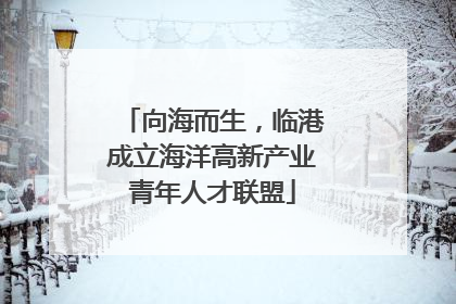 向海而生，临港成立海洋高新产业青年人才联盟